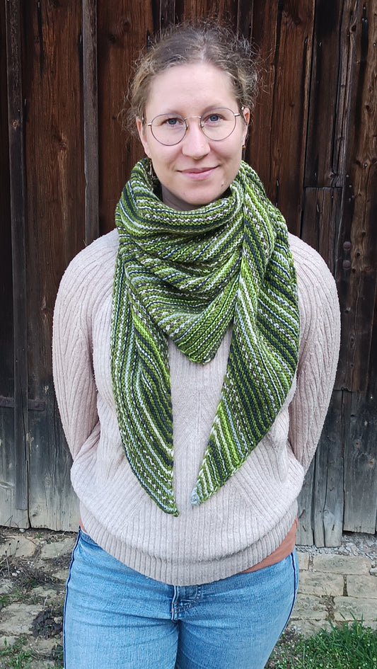 Lisa steht mit den Armen auf dem Rücken vor einem Holztor und schaut lächelnd zur Kamera. Sie trägt Jeans, einen beigen Strickpullover und das gestreifte Dreieckstuch in grün, weiß, grau und schwarz. Die Enden hängen locker nach unten und reichen etwa bis zum Bauchnabel.